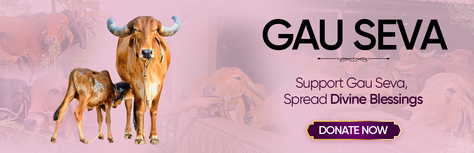 Gau Seva Community Work